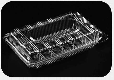 Transparent Sushi Box 1